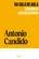 Na Sala de Aula: Cadernos de Análise Literária