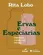 Ervas e Especiarias: Como Deixar a Comida Mais Saborosa