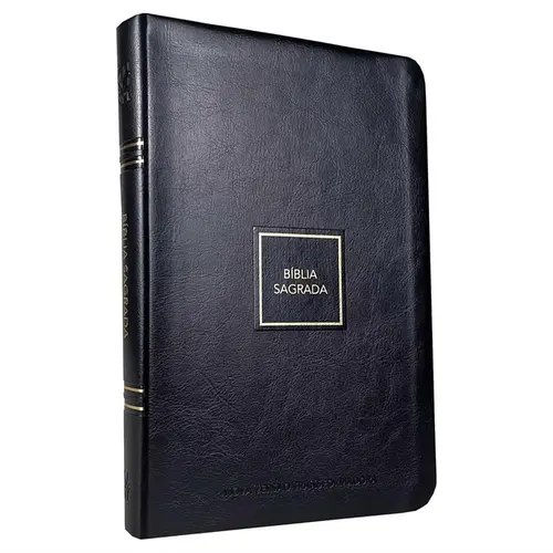 Bíblia Sagrada Nvt ( Luxo Preta e Dourado )