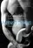 INTENSO DEMAIS (ROCK STAR LIVRO 1)