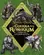 A Guerra dos Rohirrim: Livro de Colorir Oficial