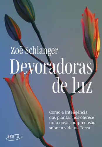 Devoradoras de Luz