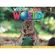 Welcome To Our World All Caps 1 Activity Book
