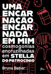 Uma Encarnação Encarnada em Mim