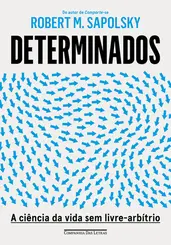 Determinados: A Ciência da Vida sem Livre-Arbítrio