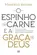 O espinho na carne e a graça de Deus Como as piores circunstâncias podem ser usadas para o nosso bem