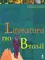 Explicando a Literatura no Brasil