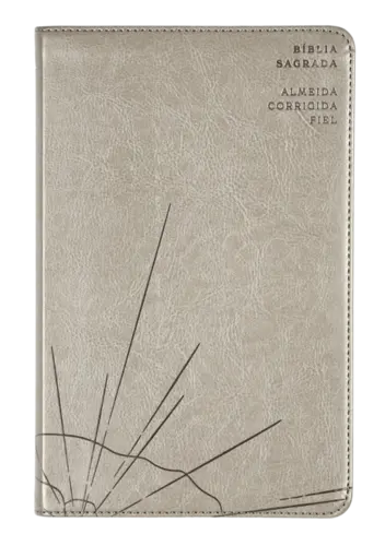 Bíblia Sagrada Slim ACF, Luxo, Couro-Soft, Cinza