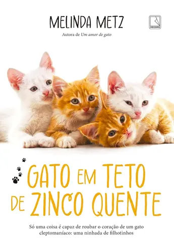 Gato em teto de Zinco Quente