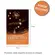 A hora da estrela: graphic novel