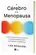 O Cérebro e a Menopausa