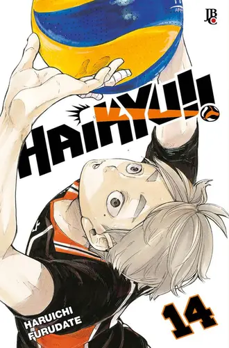 Haikyu!! vol 14 Big