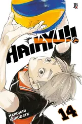 Haikyu!! vol 14 Big