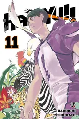 Haikyu!! vol 11 Big