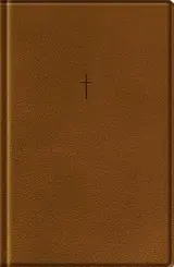 Biblia sagrada NAA: Letra grande marrom