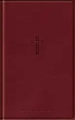 Biblia sagrada NAA: Slim vinho