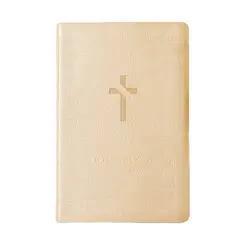 Biblia NVT: Slim bege