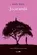 Jacarandá: Romance