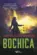 Bochica