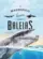 O Magnífico livro das baleias