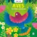 Aves